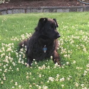 Meet your Posher, Dionne